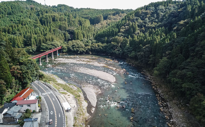 【令和8年度】ウナギを除く全魚種 遊漁年券(1枚)　日田市 / 日田漁業協同組合 鮎 アユ 釣り [ARFJ001]