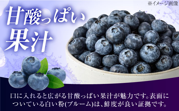 ブルーベリー 生ブルーベリー110ｇ×10パック【7月上旬から8月下旬まで順次発送】 / 冷蔵 フルーツ 果物 ブルーベリー 生 ジャム スムージー ドリンク / 愛媛県砥部町/西岡さん家のみかん園 