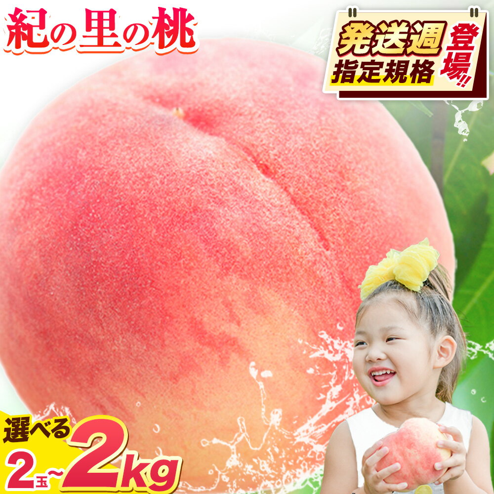 【ふるさと納税】桃 和歌山県産 紀の里の桃 選べる 約2kg (6〜8玉) または2玉《2025年6月中旬-8月中旬頃出荷》 2025年 先行予約 紀の里の桃 白鳳 日川白鳳 なつっこ 清水白桃 川中島白桃 八旗白桃 和歌山 もも
