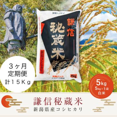 ふるさと納税 上越市 【毎月定期便】謙信秘蔵米5kg全3回