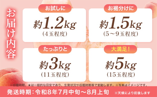 もも【あかつき・2026年産】特秀1.5kg「献上桃の郷ブランド品」桑折町産　JAふくしま未来　桃　【07301-0136】