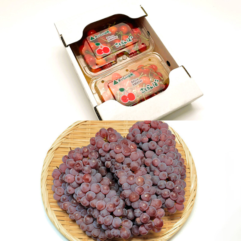 【定期便６回】厳選フルーツお楽しみ＼2024年 秋 ～2025年 夏