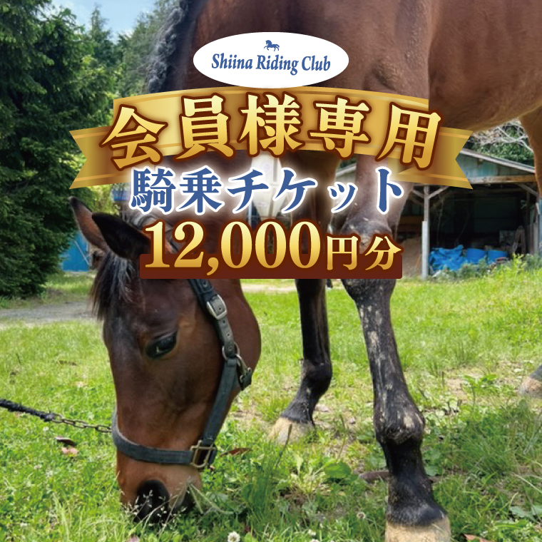 Shiina Riding Club　会員様が使える騎乗チケット（12,000円分）【茨城県 北茨城市 アクティビティ おでかけ 体験 チケット 馬 乗馬】（DA004）