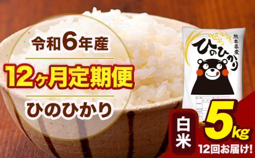 令和6年産 【12ヶ月定期便】 白米 米 ひのひかり 5kg《お申し込み月の翌月から出荷開始》熊本県 大津町 国産 熊本県産 白米 送料無料 ヒノヒカリ こめ お米