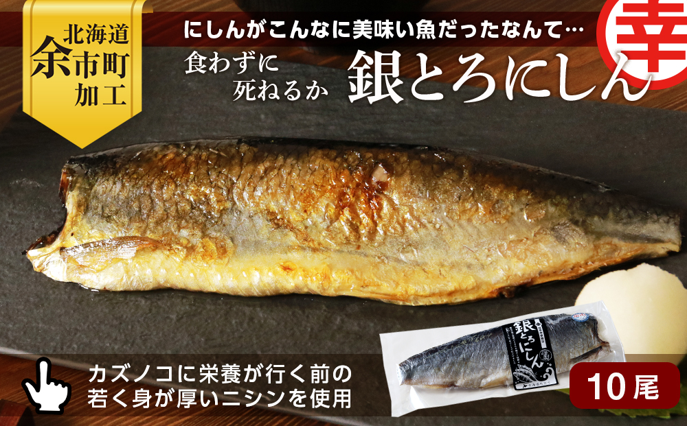 
            【先行予約：2025年11月上旬以降発送】にしんがこんなに美味い魚だったなんて・・・食わずに死ねるか「銀とろにしん」
          