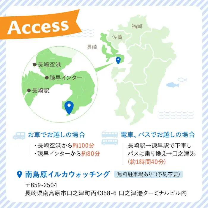 南島原 イルカウォッチング  子ども用 1人用 チケット / チケット ちけっと 体験型 観光チケット いるか イルカ イルカ体験 貸し切り いるか イルカ / 南島原市 / 南島原イルカウォッチング