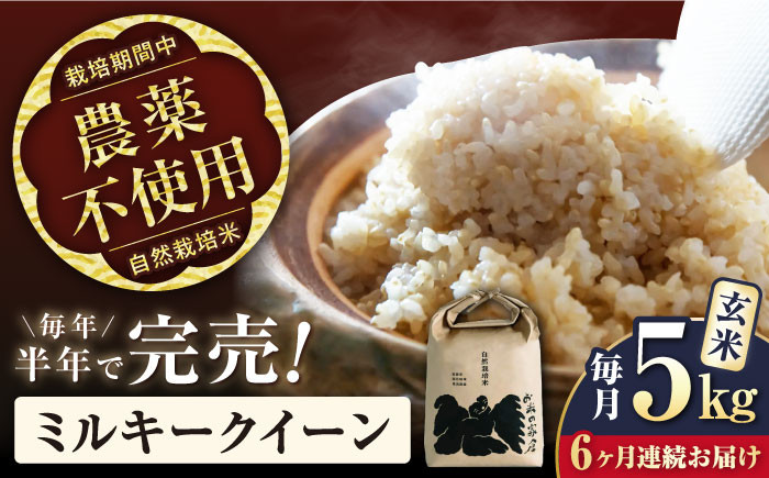 
            【先行予約/令和7年産新米】【全6回定期便】ミルキークイーン 5kg 玄米 自然栽培米  滋賀県長浜市/株式会社お米の家倉 [AQCP013] 米 定期便 玄米  5kg ミルキークイーン 自然栽培米  滋賀県産 長浜市産 こめ 玄米 白米 精米 お米 新米 食品 ふるさと納税 国産 炊きたて 米ギフト もちもち ブランド米  食卓 美味しい 産地直送 節約 人気
          