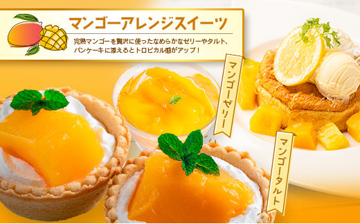 訳あり 完熟 マンゴー 約1.5kg （3玉～5玉） 宮崎県産 果物 フルーツ
