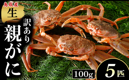 【年内発送】【訳あり】【生親がに 100g 5匹】 カニ ズワイガニ 松葉ガニ N100_I