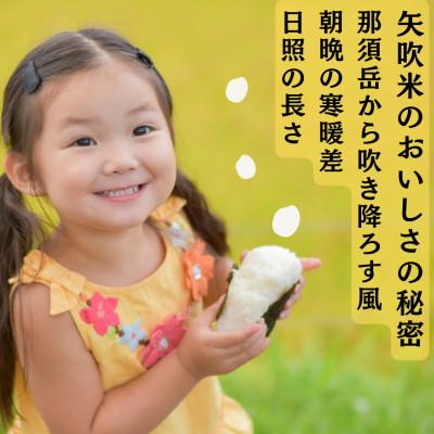 ふるさと納税 矢吹町 【令和7年産】〈無洗米〉期待の新品種!福島県矢吹町の美味しいお米!にじのきらめき5kg |  | 01