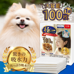 定期便 12回 ペットシーツ 【極】シリーズ 薄型ワイド 100枚 ペット用 犬用 猫用 トイレシーツ 日用品 ペット用品 防災 備蓄 消耗品 ドッグ キャット わんちゃん ねこちゃん 静岡県 富士市