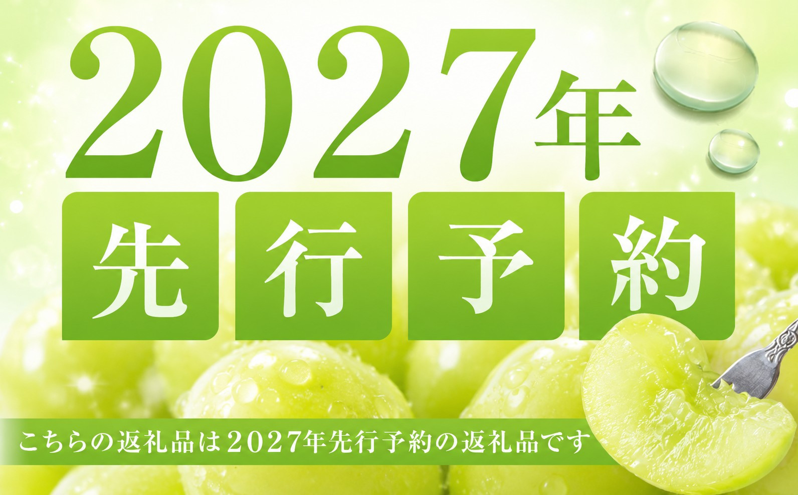 ぶどう 定期便 2024年 先行予約 晴れの国 岡山 の ぶどう定期便 3回コース 葡萄 ブドウ 岡山県産 国産 セット ギフト[No.5220-1343]