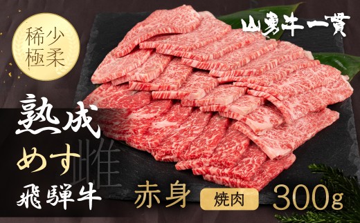 「山勇牛」焼肉用 赤身 300g 牛肉 和牛 飛騨牛 肉 稀少部位 焼き肉 冷凍 飛騨市 高評価 赤身牛肉 赤身 熟成