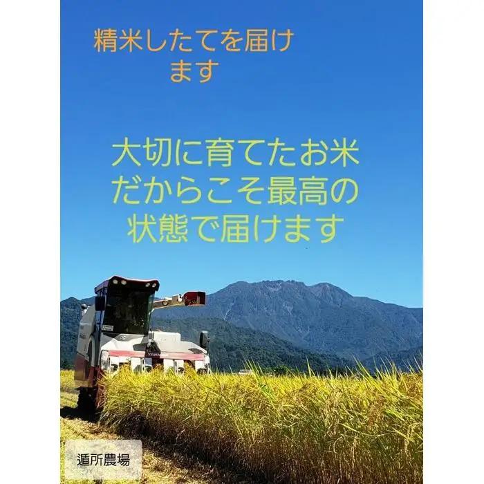 【令和8年 新米予約】【お米定期便/全３回】南魚沼産コシヒカリ　無洗米１０ｋｇ｜定期便【2026年10月中旬から1ヶ月以内に順次発送予定】