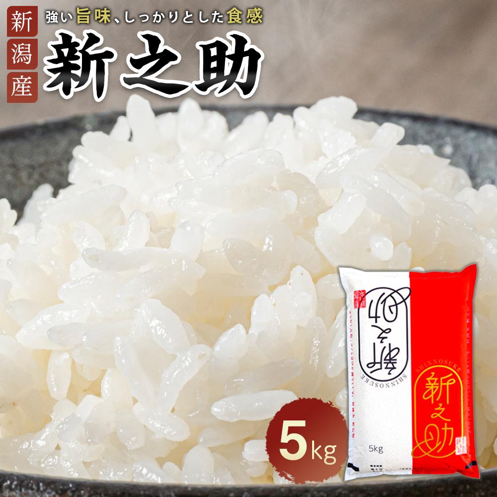 【ふるさと納税】新之助 5kg