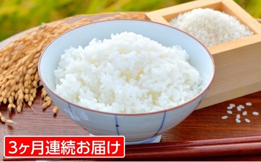 【定期便3回】 山形米 (つや姫)5kg (+醤油付き)×3回 FZ18-911 ブランド米 山形県 山形市