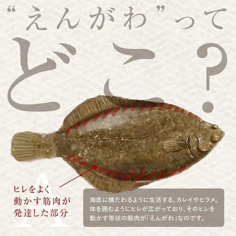 【2026年12月発送】『えんがわわさび』（400g）カレイ かれい エンガワ 魚介類 海産物 海鮮 寿司 酒の肴 北海道 羅臼町 生産者 支援 応援