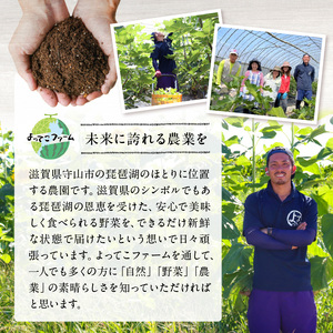 【9月より順次お届け】いちじくジャム