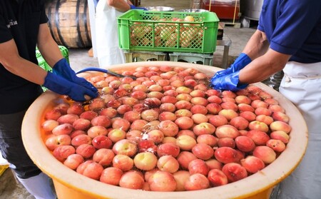 リキュール 飲み比べ セット 桃楽園 梨幸園 各500ml お酒 洋酒 家飲み 晩酌 本格米焼酎仕込み 芳醇な香り まろやか 桃リキュール 香り豊か 梨の風味 梨リキュール 