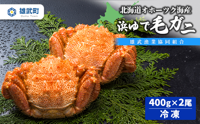 北海道オホーツク海産 浜ゆで毛ガニ400ｇ×2尾（冷凍）【0713101】