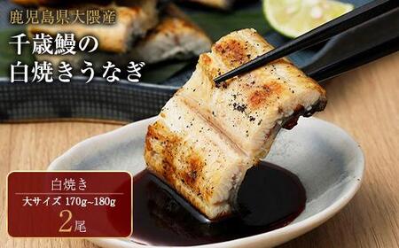 鹿児島県大隅産 千歳鰻の 白焼鰻「大」2尾｜うなぎ うなぎ