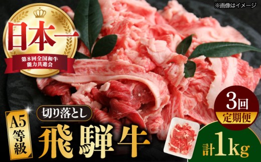 【3回定期便】【飛騨牛】A5等級 切り落とし 1kg × 3回 (計3kg) 和牛 ブランド牛 国産 牛肉 多治見市 / 渡辺精肉店 [TAZ015]
