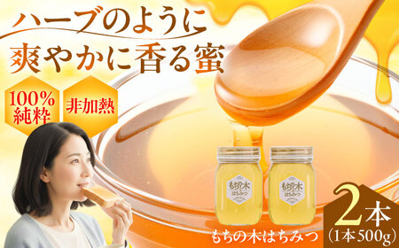 もちの木はちみつ（500g×2本） / はちみつ 国産 非加熱 純粋 蜂蜜 天然 ハチミツ / 稲沢市 / 椿園株式会社 [BMBI004]
