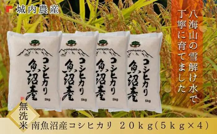 【令和８年新米予約】南魚沼産コシヒカリ 無洗米２０ｋｇ【５割減農薬栽培米】城内農産 ｜こしひかり【2026年9月下旬から1ヶ月以内に順次発送予定】