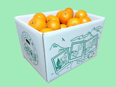 【2026年発送分 先行受付】たんかん ご家庭用バラ詰め７kg【たけはら農園】たんかん 果物 フルーツ