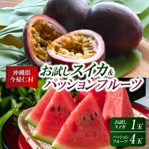 【2026年6月上旬から順次発送】今帰仁村のお試しスイカ1玉＆パッションフルーツ4玉【配送不可地域：離島】【1702338】