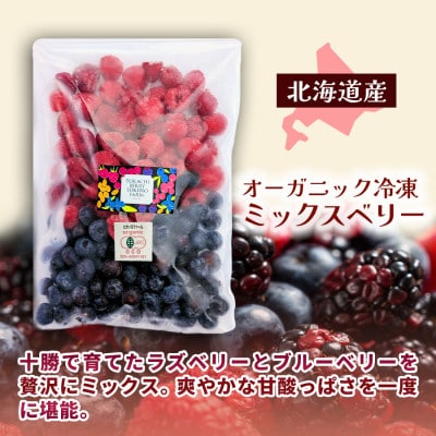 【令和8年8月以降出荷】有機JAS認証 冷凍ミックスベリー500g×1袋【北海道十勝産】【配送不可地域：離島】