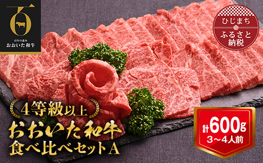 おおいた和牛 焼肉にピッタリ!牛肉の食べ比べセットA(上カルビ&上ロース)(合計600g)3~4人前【配送不可地域:離島】
