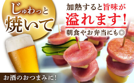 【6回定期便】宮地ハムのロングセラー ボロニアソーセージ 100g×7本 /宮地ハム[UBM012]