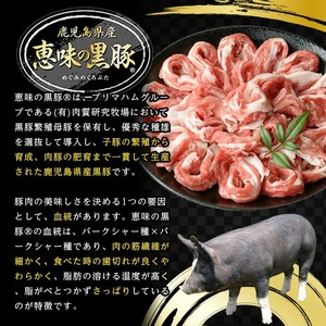 恵味の黒豚 焼肉＋切落しセット (4種・合計2.8kg超！)  冷凍 小分け 国産 鹿児島県産 黒豚 多用途に使える4種セット！【B-369H】