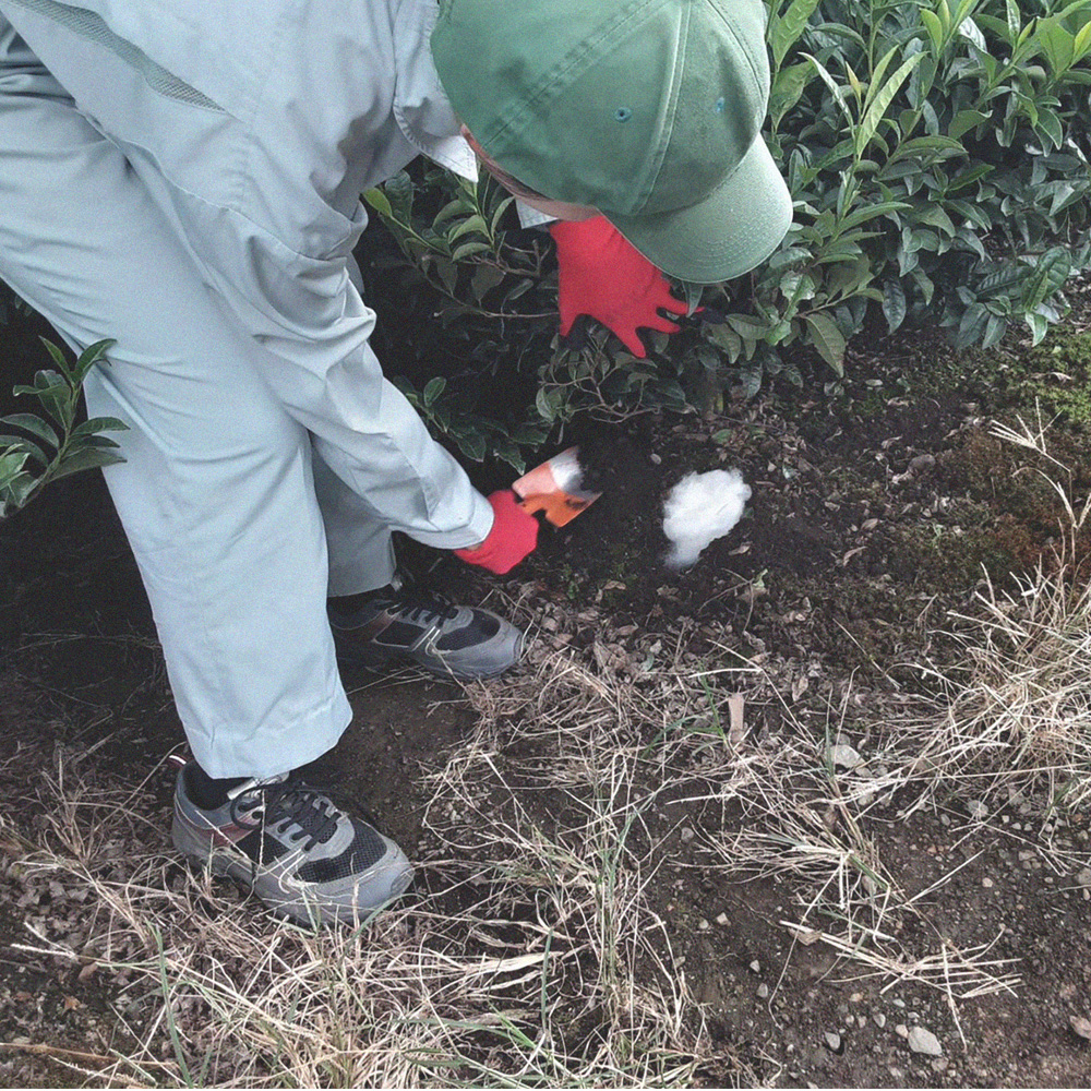 【泗水十貨店（しすいじっかてん）】ウールで育てたお茶（４箱セット）手提げ袋付き　四日市認定地場特産品_イメージ4