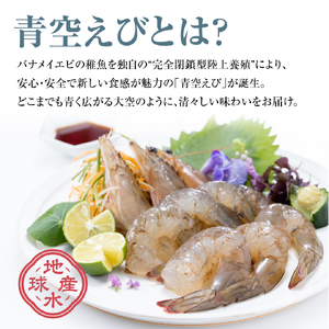 青空えび（和名：シロアシエビ）３パック入り【conn0002】