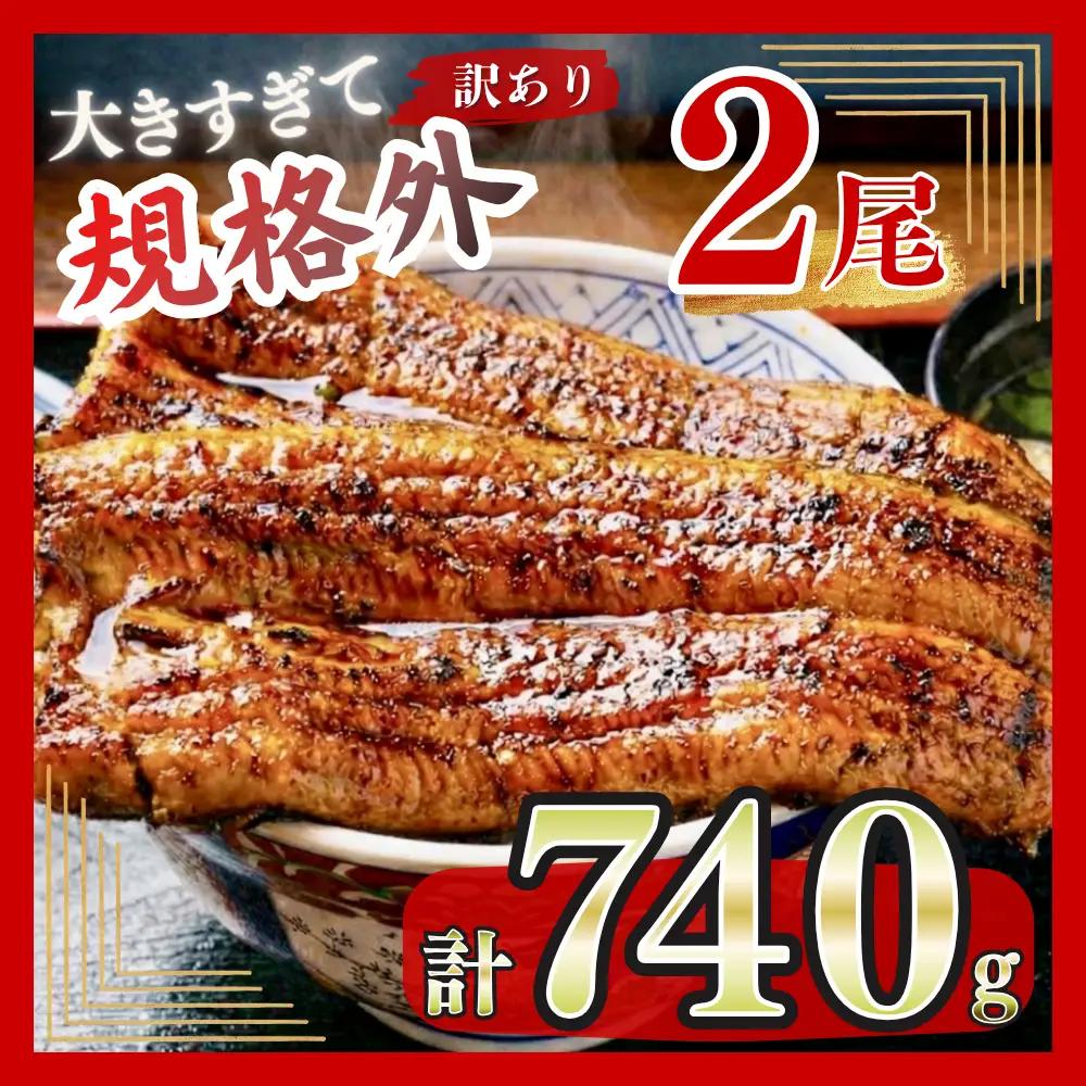 うなぎ 蒲焼 特大 訳あり 2尾 740g うなぎ