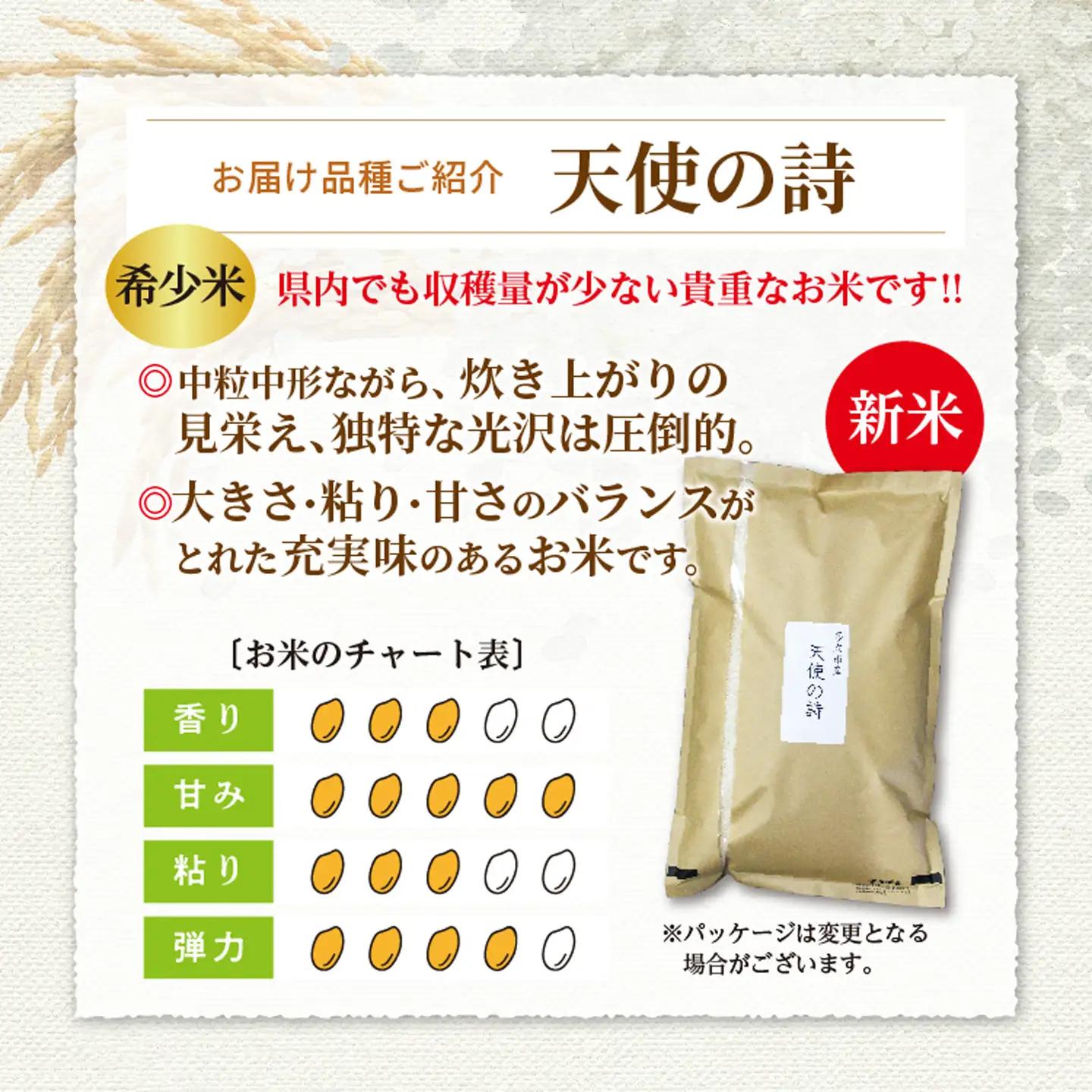 【令和8年産 新米 予約】天使の詩 精米 10kg（5kg×2袋）佐賀県産 白米 _c-128