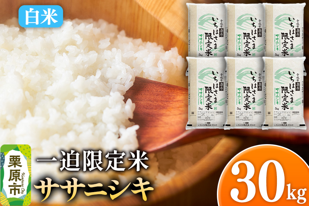 【白米】令和7年産 一迫限定米  ササニシキ 30kg（5kg×6袋）