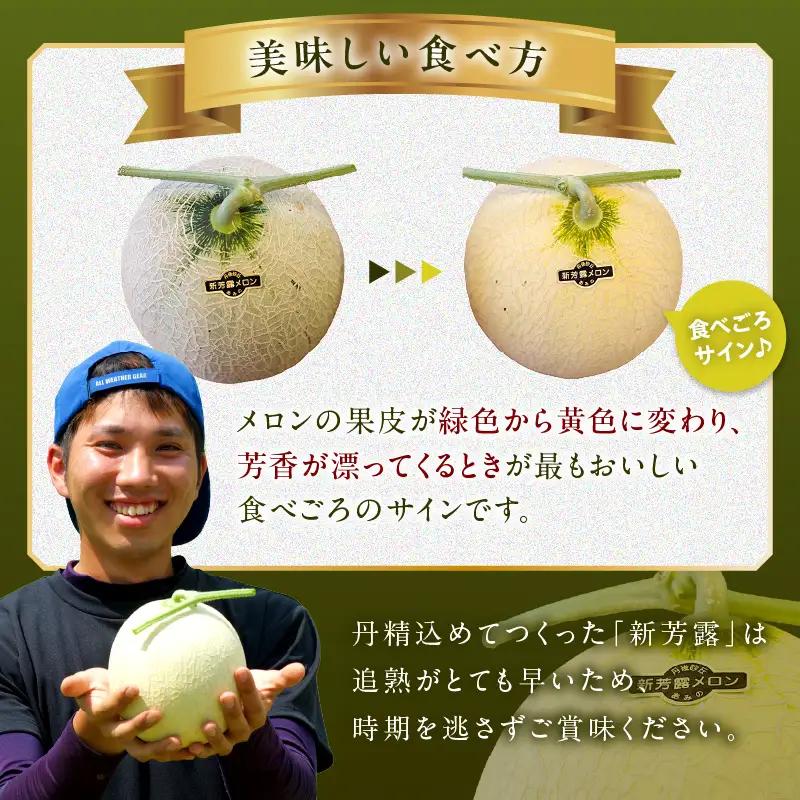 【数量限定 先行予約 幻のメロン】新芳露 2玉 シンホウロメロン