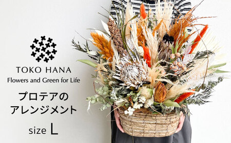 プロテアのアレンジメント（Lサイズ） 糸島市 / tokohana ドライフラワー アレンジ[AOC037]