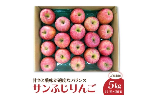 りんご（サンふじ）５ｋｇ　１１～２０玉　ご家庭用　0056-2620