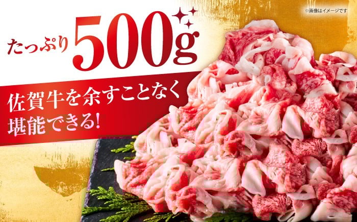 佐賀牛 A5 牛丼 切落とし 切り落し 牛肉 和牛 黒毛和牛 小分け 冷凍 きりおとし 佐賀  12ヶ月 12回 定期
