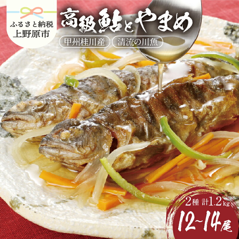 【ふるさと納税】 鮎 やまめ 魚 川魚 セット ギフト 和食 甲州桂川の鮎と桂川のやまめ(Bセット) 鮮魚 清流 塩焼き 甘露煮 贈答 贈り物 送料無料 ※沖縄県、離島不可 山梨県 上野原市