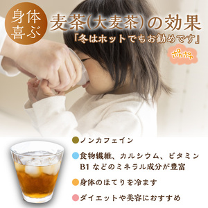 長谷匠 匠のこだわり焙煎 麦茶セットB〈お徳用 ハトムギ茶 麦茶 はと麦茶 ティーパック ノンカフェイン 焙煎 大麦 送料無料 お取り寄せ〉