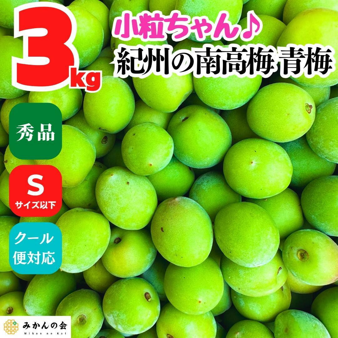 【ふるさと納税】【選べる容量】南高梅 青梅 秀品 小粒ちゃん 約3kg～約10kg Sサイズ以下 和歌山県産 紀州有田 産地直送 クール便対応 梅酒作り用 梅ジュース作り用 | 梅干し 梅干 梅酒 梅ジュース 食品 加工食品 人気 おすすめ 送料無料