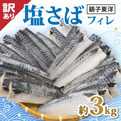 ふるさと納税 銚子市 【訳あり】塩鯖(冷凍)3kg　銚子東洋のフィレ　規格外