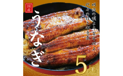 鰻の老舗　千葉県いすみ市藤井のうなぎ白焼き(5匹)【1391284】