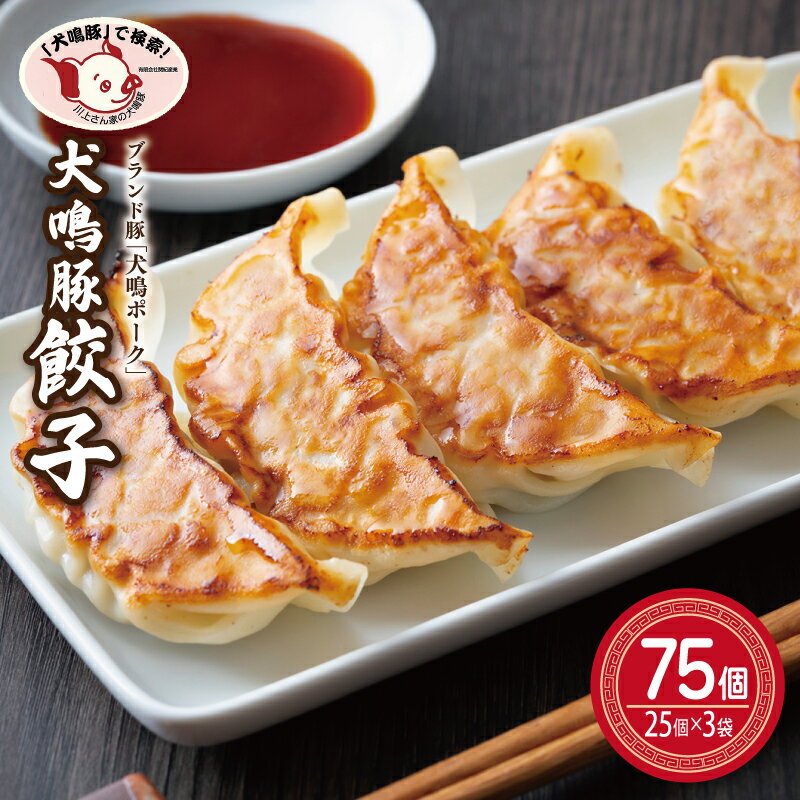 【ふるさと納税】泉佐野ブランド 犬鳴豚餃子 75個 25個 × 3パック 国産豚肉 肉餃子 お肉の甘み 犬鳴ポーク 餃子 焼き餃子 惣菜 おかず おつまみ 中華 食品 食べ物 冷凍 お取り寄せグルメ 大阪府 泉佐野市 送料無料
