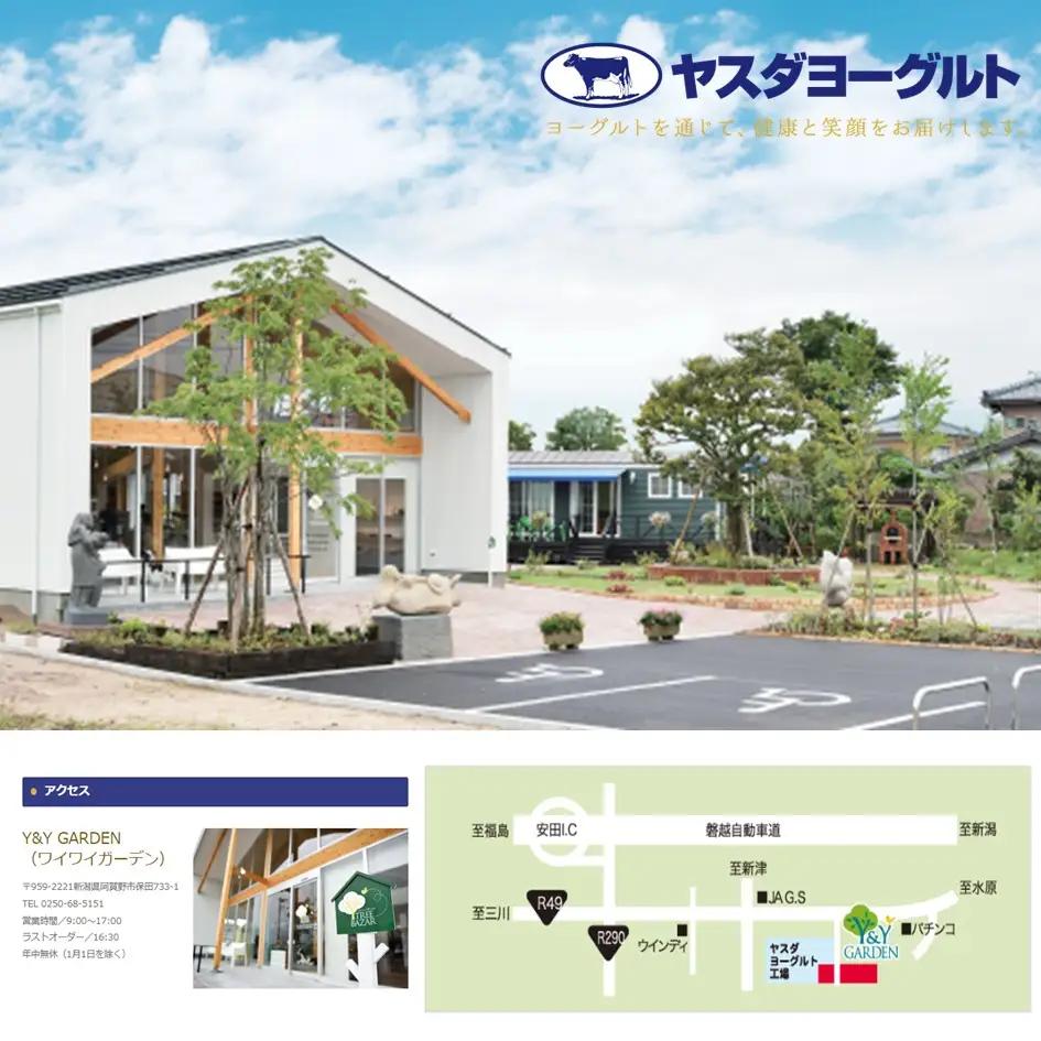 【7ヶ月定期便】ヤスダヨーグルト 800g×6本×7回 大ボトル 無添加 搾りたて こだわり生乳 濃厚 飲むヨーグルト のむよーぐると ヨーグルト 1B56064